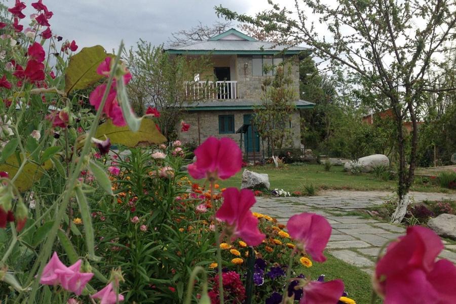 Nagri Resort Pālampur Екстериор снимка